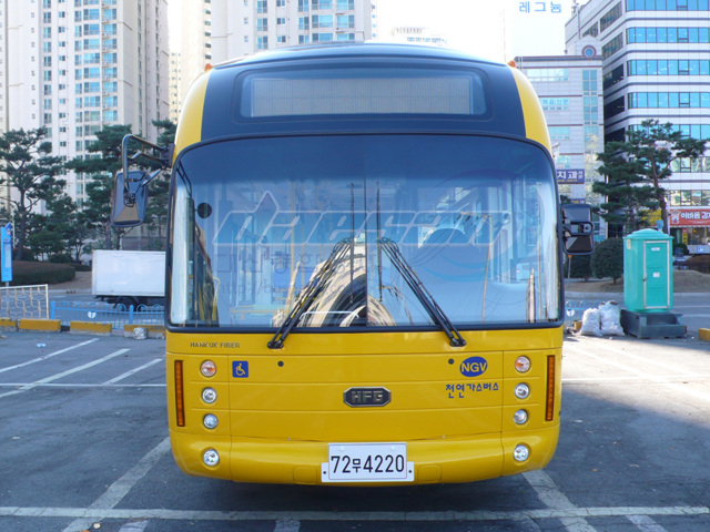 P1150598-1.jpg